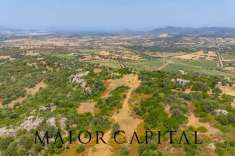 Foto Terreno edificabile in vendita a Loiri Porto San Paolo