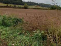 Foto Terreno edificabile in vendita a Lonato