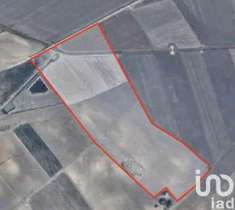 Foto Terreno edificabile in vendita a Manfredonia