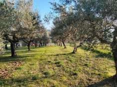 Foto Terreno edificabile in vendita a Manoppello