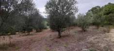 Foto Terreno edificabile in vendita a Manziana