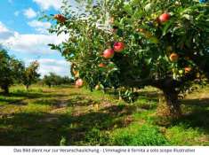 Foto Terreno edificabile in vendita a Marlengo