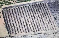 Foto Terreno edificabile in vendita a Mazara Del Vallo