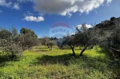 Foto Terreno edificabile in vendita a Monreale