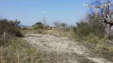 Foto TERRENO EDIFICABILE in VENDITA a MONTALTO DELLE MARCHE