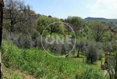 Foto Terreno edificabile in vendita a Montecchio