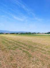 Foto Terreno edificabile in vendita a Montecchio Precalcino
