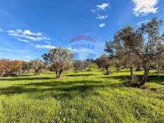 Foto Terreno edificabile in vendita a Montesilvano