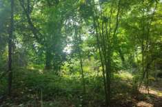 Foto Terreno edificabile in Vendita a Monza