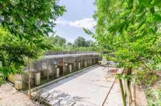 Foto Terreno edificabile in vendita a Morrovalle