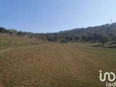 Foto Terreno edificabile in vendita a Moscufo