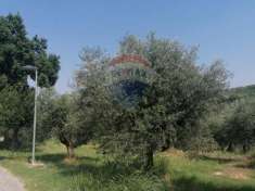Foto Terreno edificabile in vendita a Moscufo