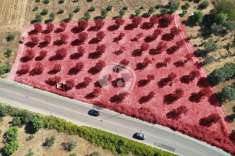 Foto Terreno edificabile in vendita a Nardo'