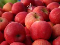 Foto Terreno edificabile in vendita a Naturno