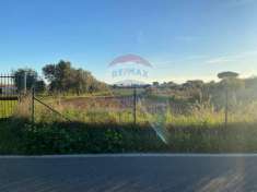 Foto Terreno edificabile in vendita a Nettuno