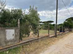 Foto Terreno edificabile in vendita a Nettuno