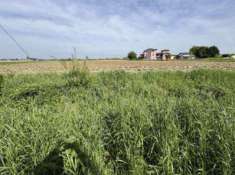 Foto Terreno edificabile in Vendita a Nogara