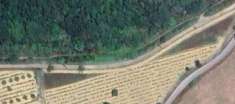 Foto Terreno edificabile in Vendita a Oppeano