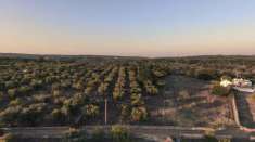 Foto Terreno edificabile in vendita a Ostuni
