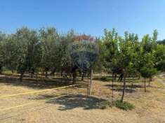 Foto Terreno edificabile in vendita a Paglieta