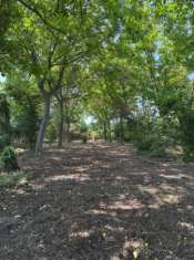 Foto Terreno edificabile in vendita a Pago Del Vallo Di Lauro