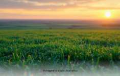 Foto Terreno edificabile in vendita a Pantelleria (TP)