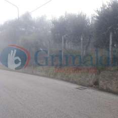 Foto Terreno edificabile in vendita a Pratola Serra