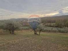 Foto Terreno edificabile in vendita a Pretoro
