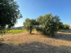 Foto Terreno edificabile in vendita a Ripa Teatina