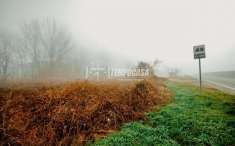Foto Terreno edificabile in vendita a Robbio