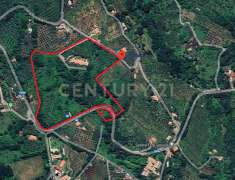 Foto Terreno edificabile in vendita a Roccantica
