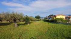 Foto Terreno edificabile in vendita a Rosciano