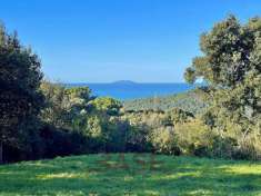 Foto Terreno edificabile in vendita a Rosignano Marittimo