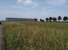 Foto Terreno edificabile in vendita a Roverbella