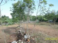 Foto Terreno edificabile in vendita a Sagrado