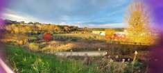 Foto Terreno edificabile in vendita a San Gimignano