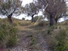 Foto Terreno edificabile in vendita a San Giovanni A Piro