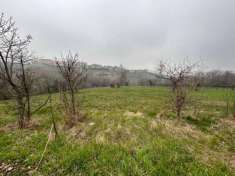 Foto Terreno edificabile in Vendita a San Mauro di Saline San Mauro di Saline - Centro