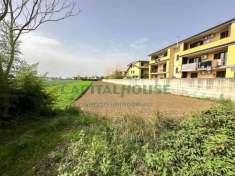 Foto Terreno edificabile in vendita a San Tammaro