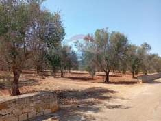 Foto Terreno edificabile in vendita a San Vito Dei Normanni