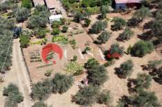 Foto Terreno edificabile in vendita a Sant'Agata Di Militello