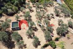 Foto Terreno edificabile in vendita a Sant'Agata Di Militello