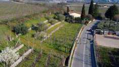 Foto Terreno edificabile in vendita a Sant'Ambrogio Di Valpolicella
