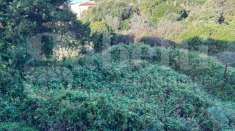Foto Terreno edificabile in vendita a Santa Teresa Gallura