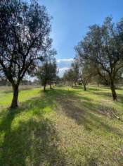 Foto Terreno edificabile in vendita a Scorrano