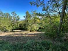 Foto Terreno edificabile in vendita a Serramazzoni