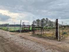 Foto Terreno edificabile in vendita a Sestu