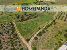 Foto Terreno edificabile in vendita a Settimo San Pietro