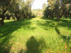 Foto Terreno edificabile in vendita a Settingiano