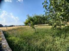 Foto Terreno edificabile in vendita a Spoleto